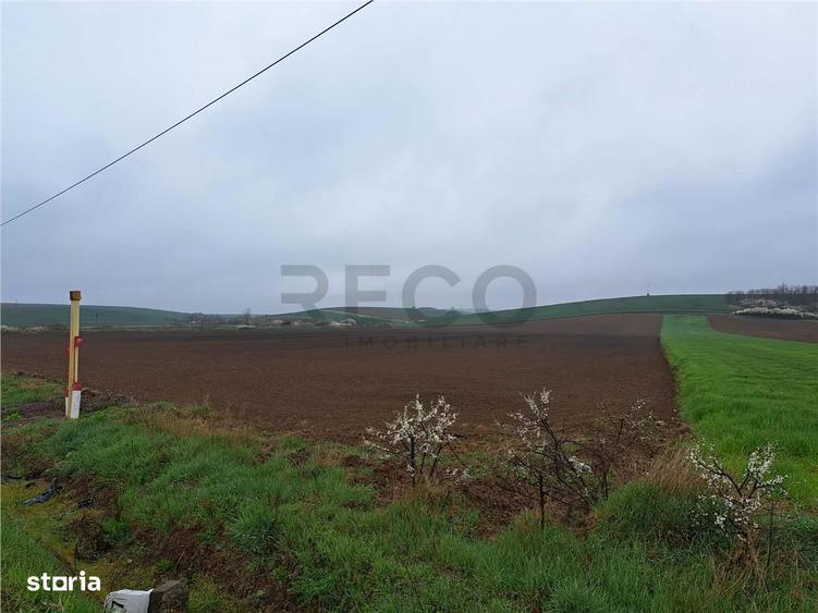 RECO teren Ghenetea 7800mp - 4