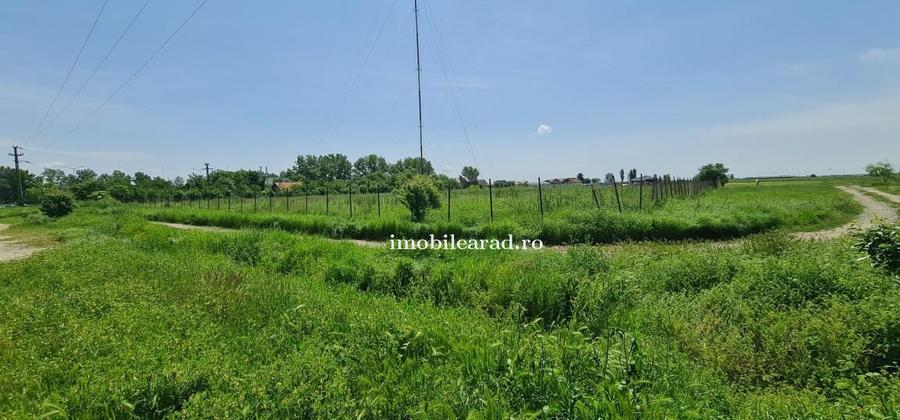 Teren intravilan 10.000mp cu utilitati, imprejmuit, Loc. Sanleani intre case, pr - 10
