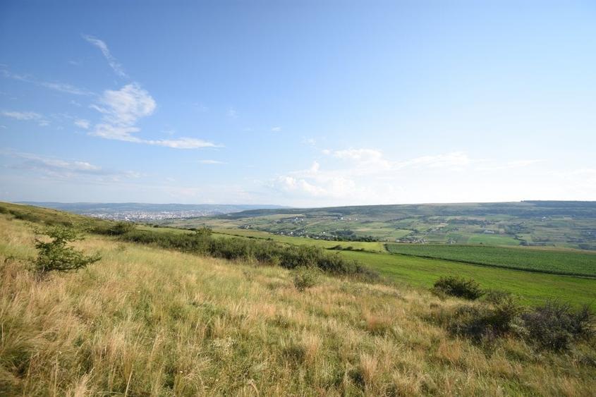 Oportunitate de investitie! Teren extravilan Chinteni! - 7