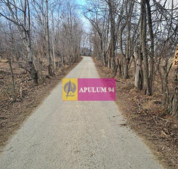 Teren intravilan de vanzare in Cornu de Jos - 4