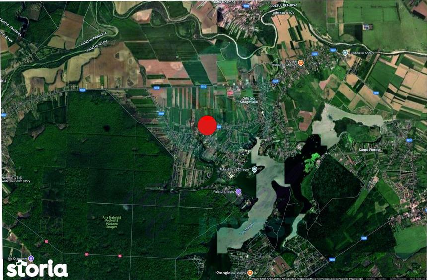 Teren 5000 mp pentru dezvoltare reziden?iala, Sili?tea Snagovului - 2