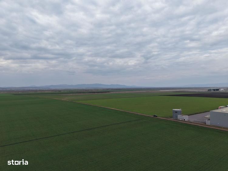 Teren de vanzare 20.000mp Ghimbav, langa Parcul Industrial - 4