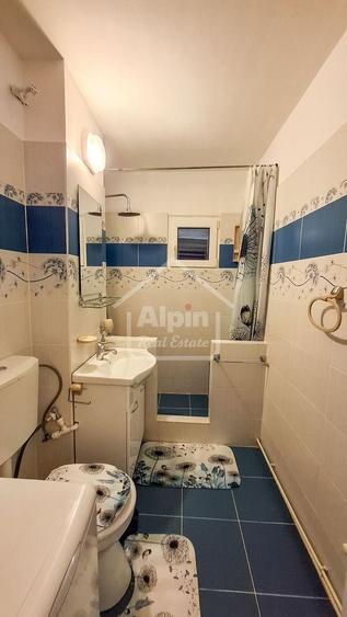 Suprafata Generoasa I Zona Gemenii - 25