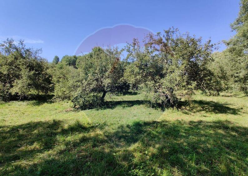 Teren intravilan in Remetea Chioarului - 4