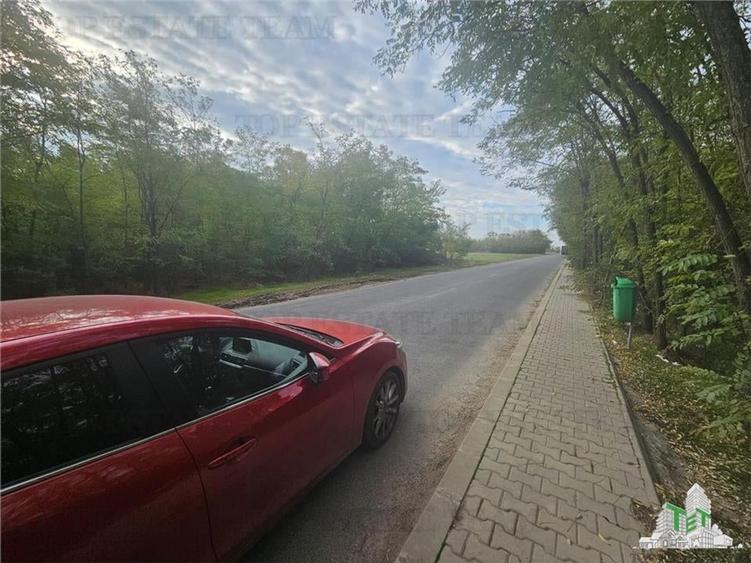 Teren 7500mp in liziera padurii in Dragomiresti-Deal - 1