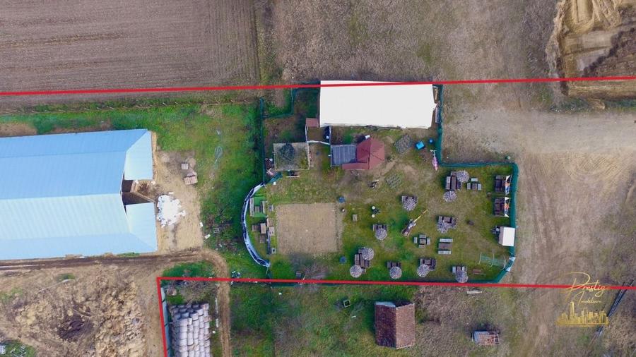 Domeniu - Centru de colectare, 7 ha de vanzare in Valea lui Mihai - 12