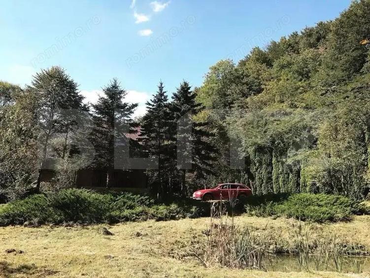 Casa de Vacan?a pe Valea Ighielului 3 camere, 2500 mp curte - 1