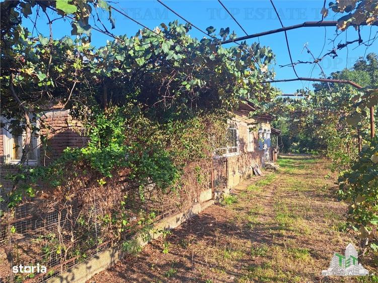 Casa cu teren 3579mp in com. Cascioarele, Jud. Giurgiu - 6