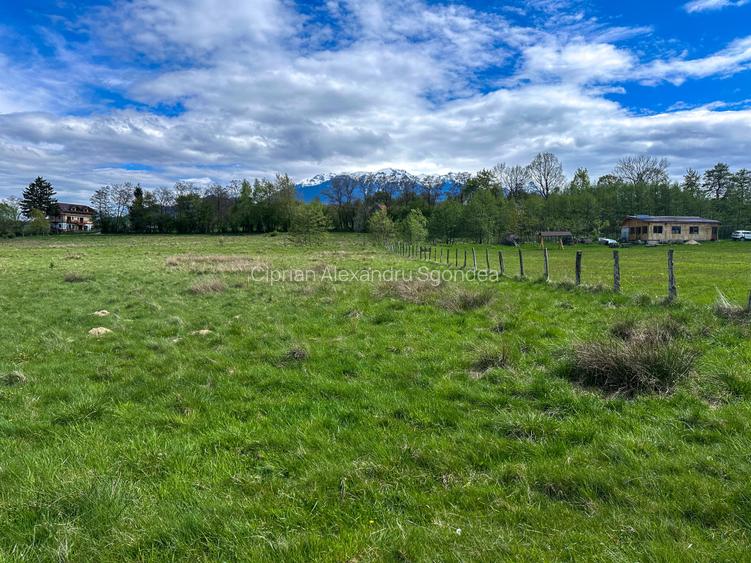 Teren Bran Zarnesti 3 km Castelul Bran 25 km Brasov Teren Bran Zarnesti 3 km Castelul Bran 25 km Brasov