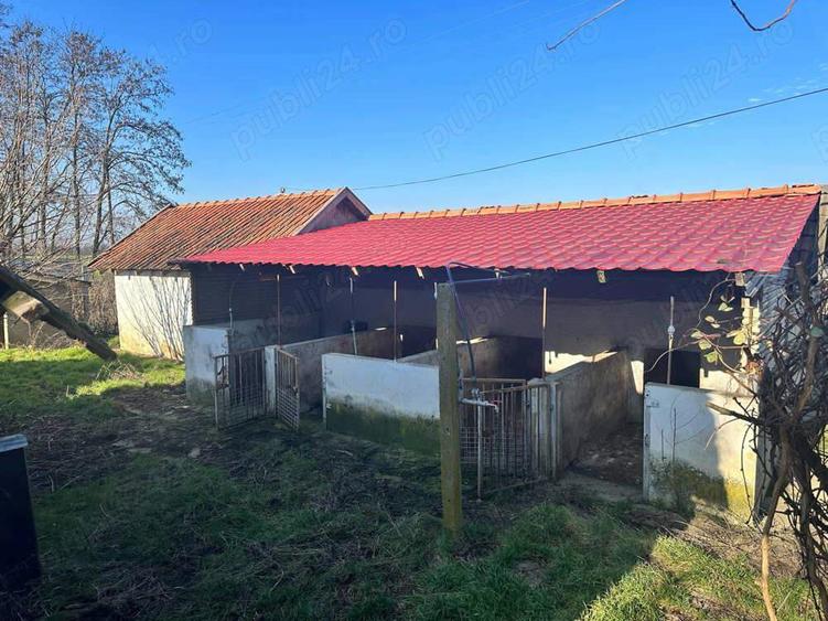 Proprietate de vanzare in Dombegyhaza - Pretabil pentru ferma - 3