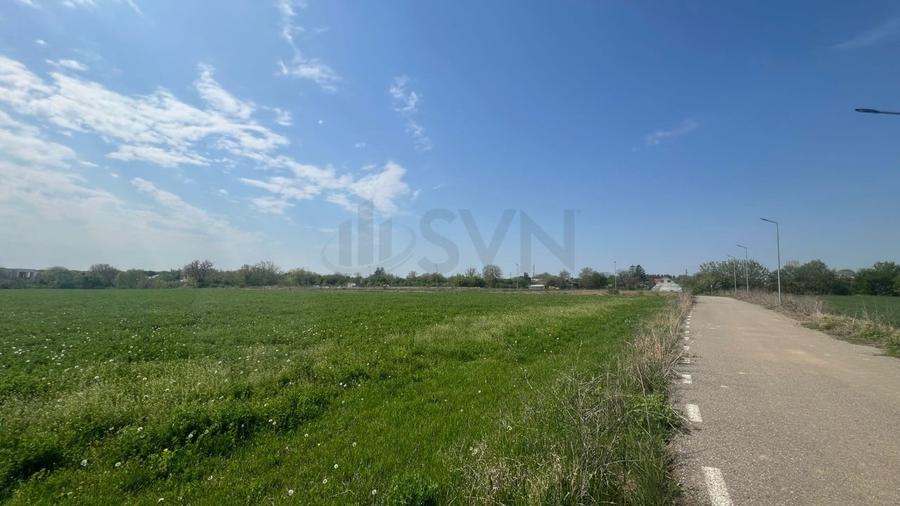 REL4000945 Teren de vanzare in Snagov - 6