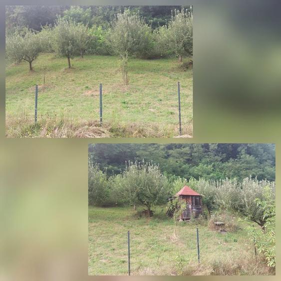 Vand teren intravilan Sat Voia Com. Balsa 7000mp - 5