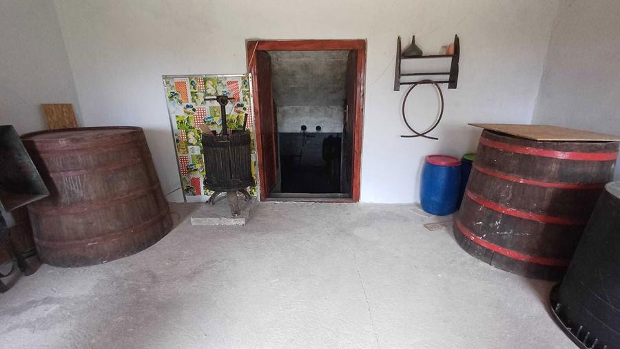 Pivnita cu crama de vanzare - 5