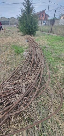 Vand teren cu imprejmuire si proiect casa - 7