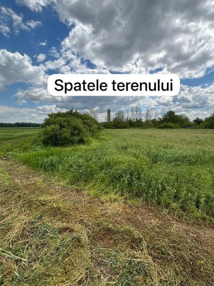  Teren intravilan 3743 mp Frunzaru – asfalt, apă și curent la poartă - 4