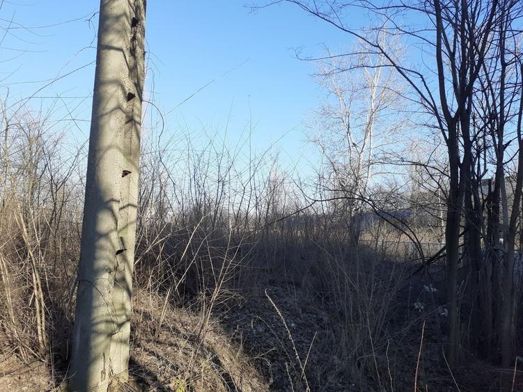 Zona Metrou Costin Georgian  1427 mp, d=60 ml la bulevard - 1