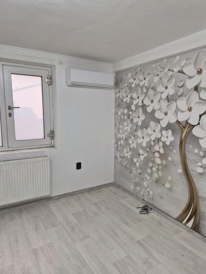 De vânzare Vilă individuala 11 camere curte proprie Parcul Carol - 34