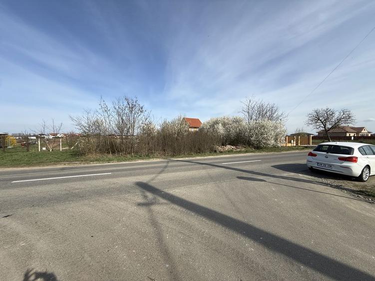 Vand Teren intravilan pt parcelare 86 Ari la intrare in Vetis - 7