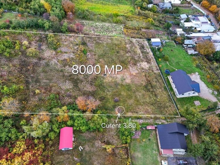 De vanzare teren intravilan 8,000 mp Garlenii de Sus / Bacau - 3