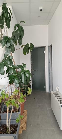 Inchiriere hala/depozit individual 1300mp (depozit 1030mp + Birouri) - 5