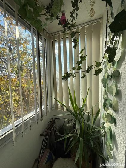 Apartament 2 camere Iasi 10 min de centru - 8