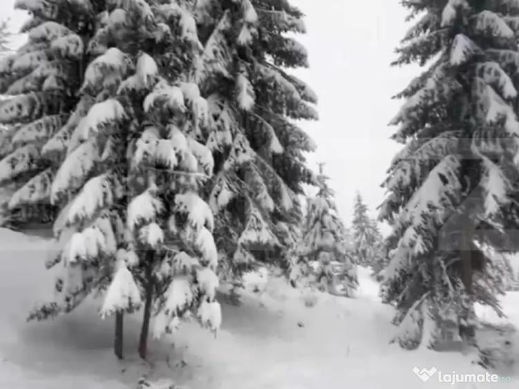 Teren 10,75 ari, intravilan Colibita, cu utilitati - 1