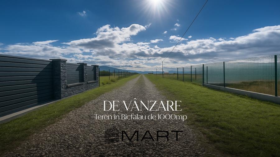 Teren Intravilan 1000 mp Bicfalau - 1