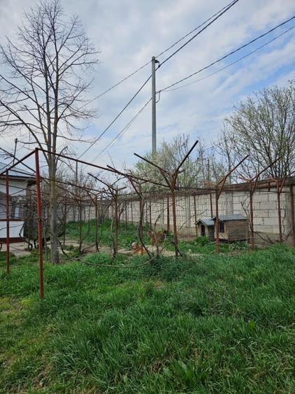 Casa de vacanta Bucsani, Obedeni - 11