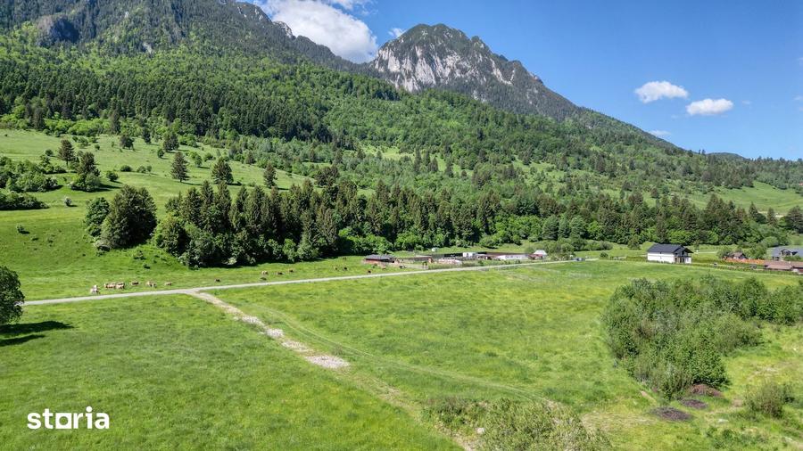 Teren de 1269 mp, în Plaiul Foii
