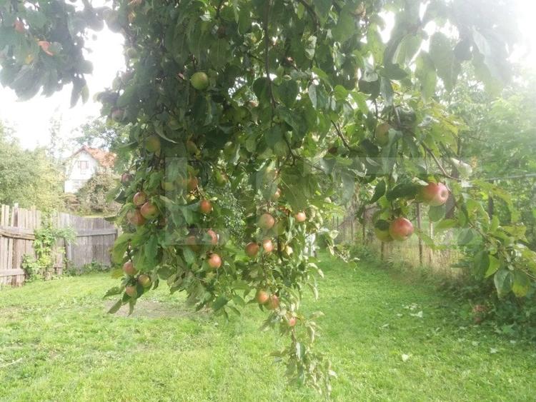 Casă individuală cu 3 camere cu Canalizare în Baciu