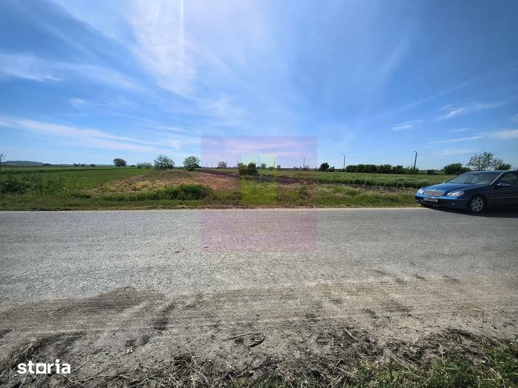 Teren de 4770 mp, în Dărăști-Ilfov