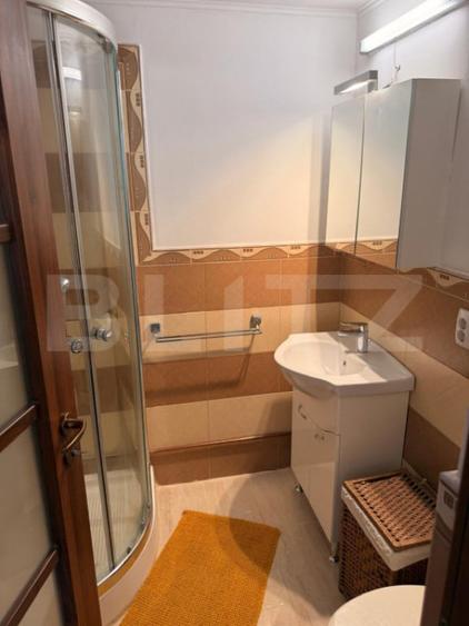 Proprietate cu doua case renovate, in inima comunei Vulcan - 3