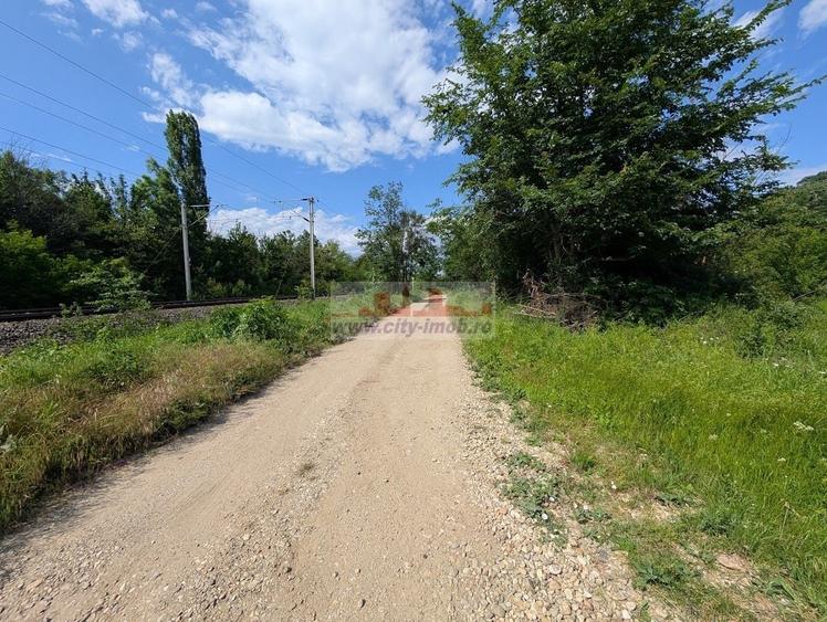 VANZARE TEREN, Sat.Balteni, com. Peris, Padurea Scrovistea, jud IIlfov - 2