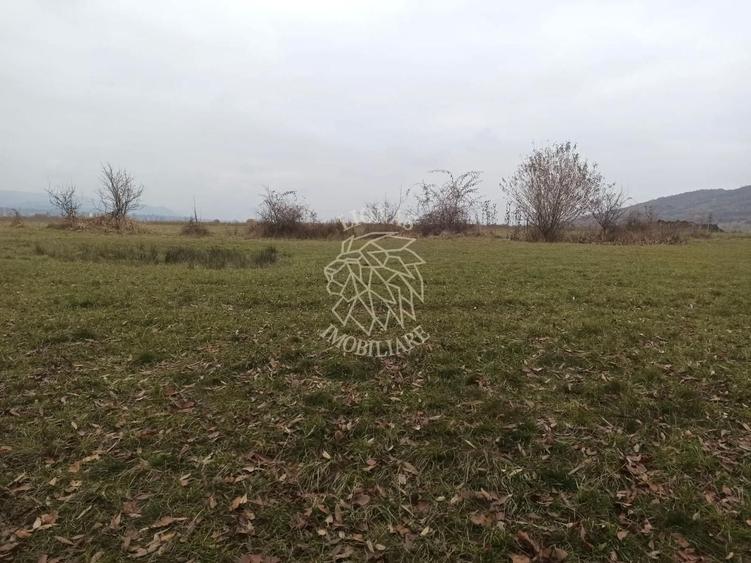 Teren agricol extravilan de 19611 mp, în Livezile