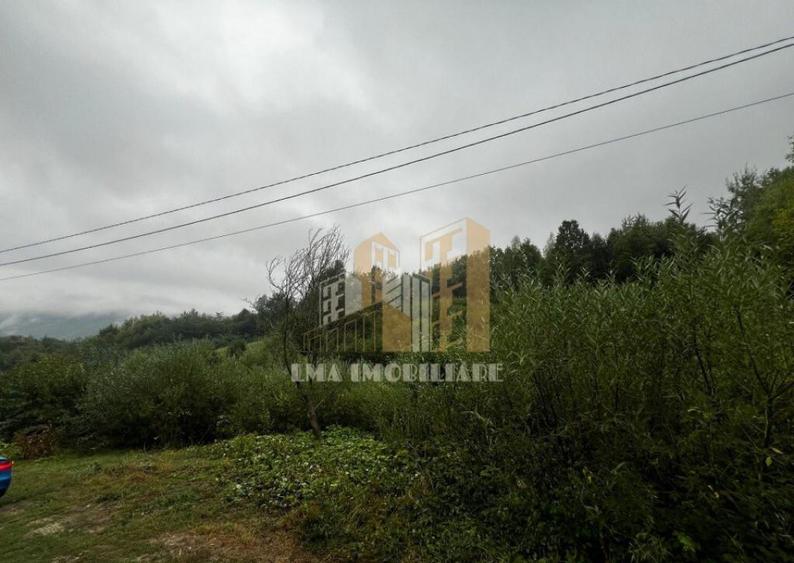 Teren intravilan Sinca Noua - 5