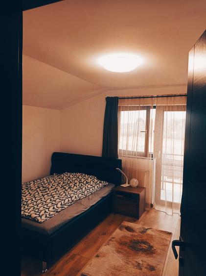 Proprietate Specială Pitești / Bascov - 16