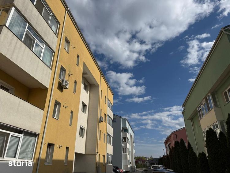 APARTAMENT DECOMANDAT 40 MP, CRIS ESTATE VISAN , MUTARE IMEDIATA - 10
