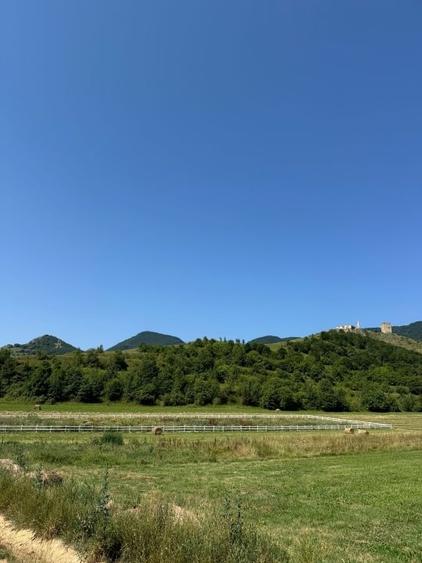 Vând teren la poalele cetății - 3