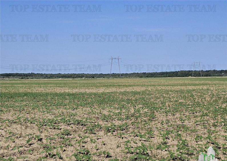 Teren cu pozitionare excelenta la A1, sensul Pitesti Bucure - 7