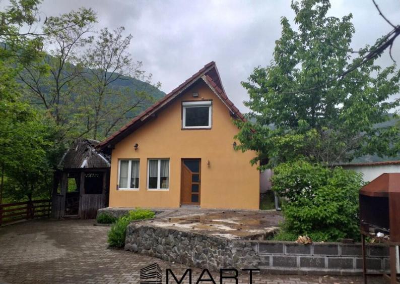 Teren extravilan 7432 mp, cu cabana de lemn Capalna AB - 4