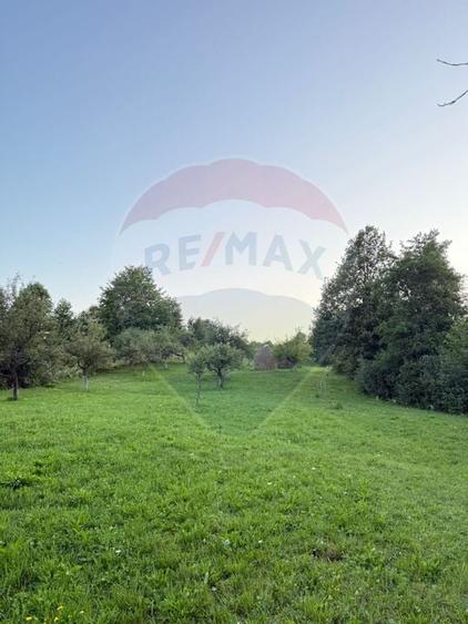 Teren în cea mai turistica localitate din Romania - Breb / Maramureș - 1