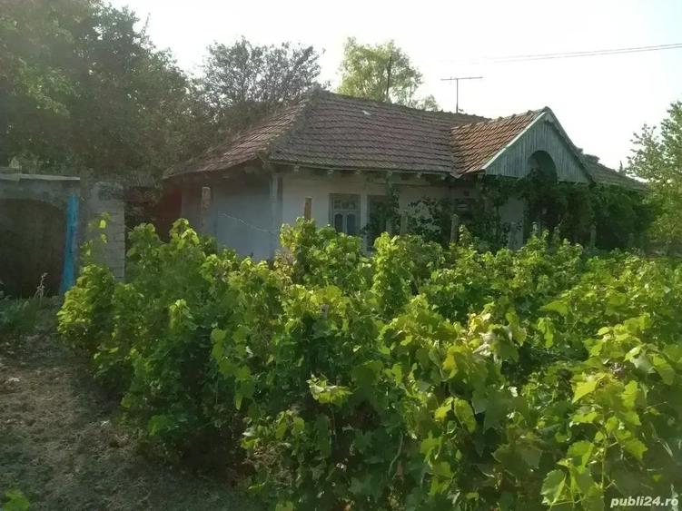Vand casa Rebricea Jud Vaslui - 2