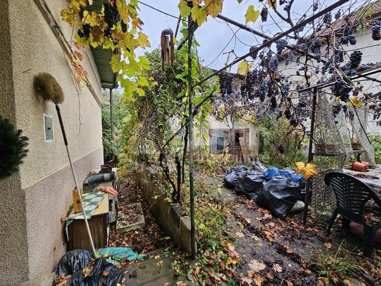 Casa individuala 2 camere | Teren 975 mp | Zona Dambu Rotund - 6