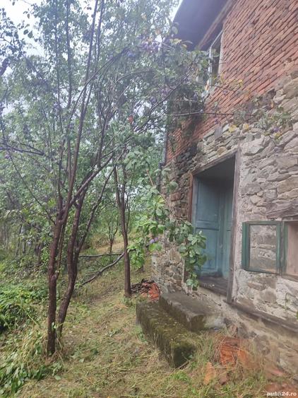 casa de vanzare comuna Brusturi judet Arad - 2