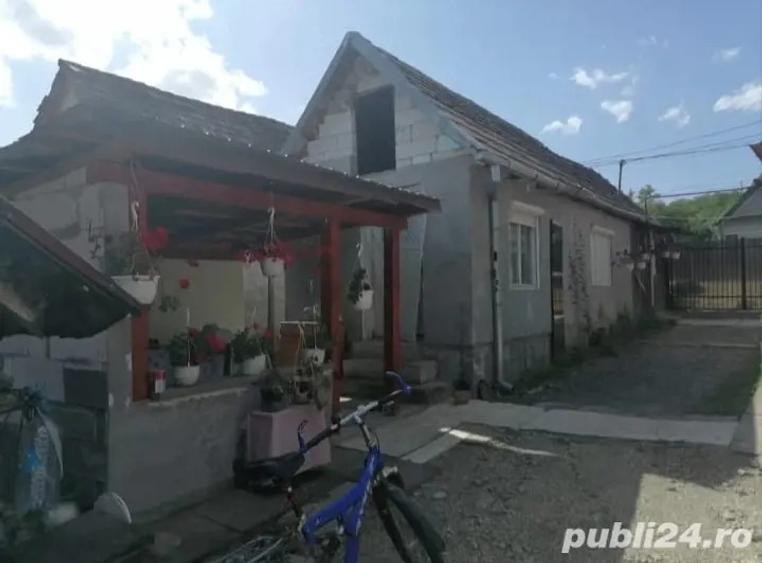 Casa la curte de vanzare in Abus Mures - 3