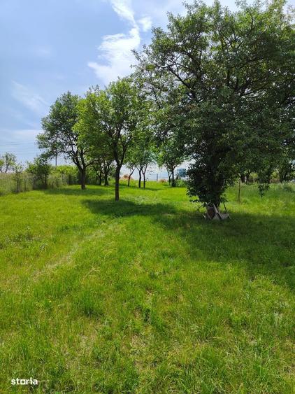 Teren de vanzare - 5