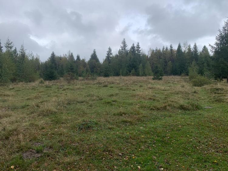 Teren 7501 mp. judet Cluj - 1