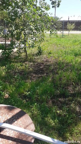 vand casa cu teren 800mp in Mosteni jud Teleorman - 5