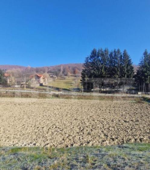 Teren extravilan - Sita Buzaului -6800 mp posibilitate trece - 2