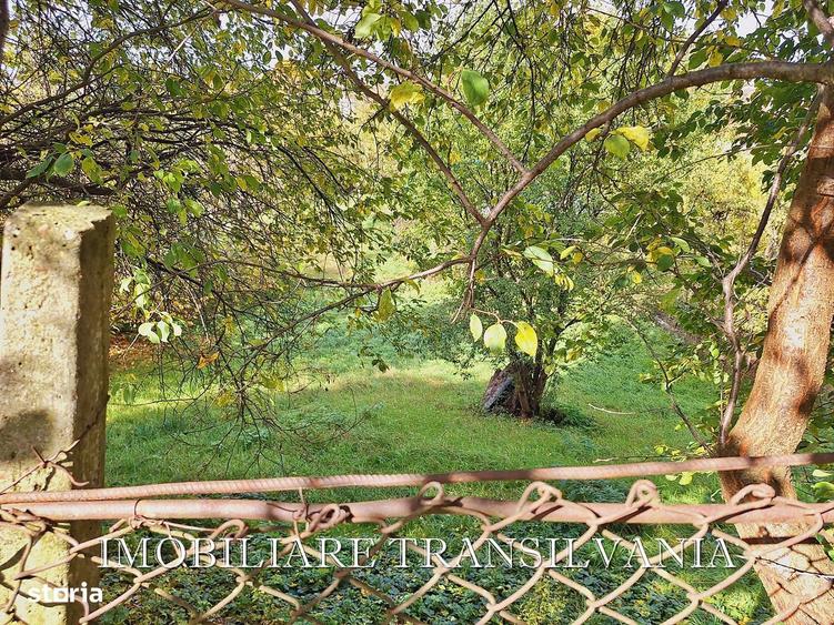 Teren intravilan, 665 mp, str. Ion Vidu, Bistrita - 3